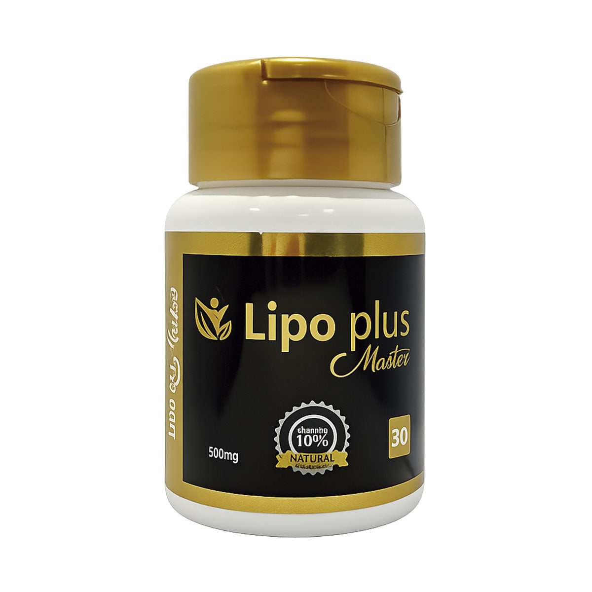 LIPO PLUS MASTER